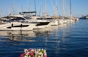 Bateaux de 8 à 10 mètres de long - Places d'amarrage/amarrage Camile Rayon Marina À louer